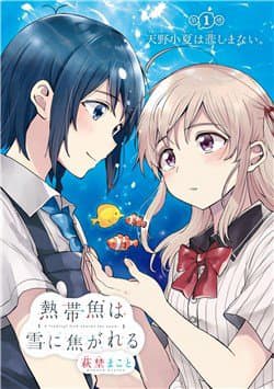 A tropical fish yearn for snow - Nettaigyo wa yuki ni kogareru