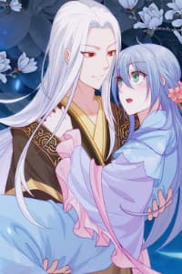 Đô đốc đại nhân sủng thê kí - 