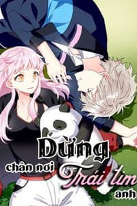 Dừng Chân Nơi Trái Tim Anh - 