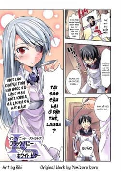 Infinite Stratos: Black Bunny-white Bitter - 