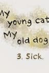 Mèo Con và Chú Chó Già Của Tôi - 