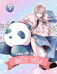 Nàng Gấu Trúc Đã Biết Yêu - Nàng Gấu Trúc Đã Biết Yêu