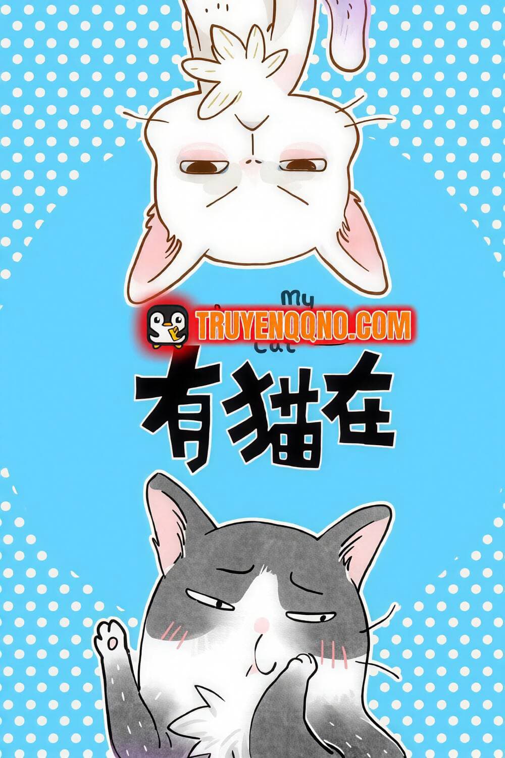 Ở Đây Có Mèo - 