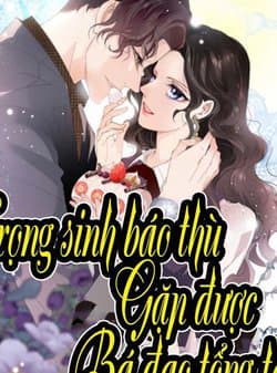 Trọng Sinh Báo Thù Gặp Được Bá Đạo Tổng Tài - 