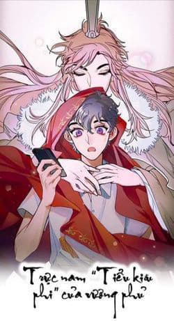 Trực nam tiểu kiều phi của vương phủ - 