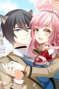 Vật nuôi đáng yêu : mèo cỏ của tôi - Mèo truong co